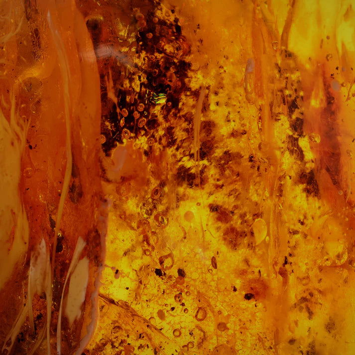Oosterse Amber